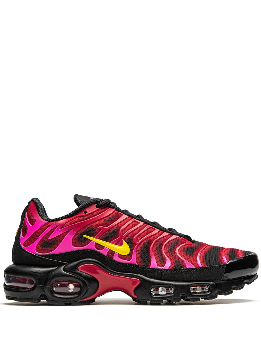 Max Plus TN