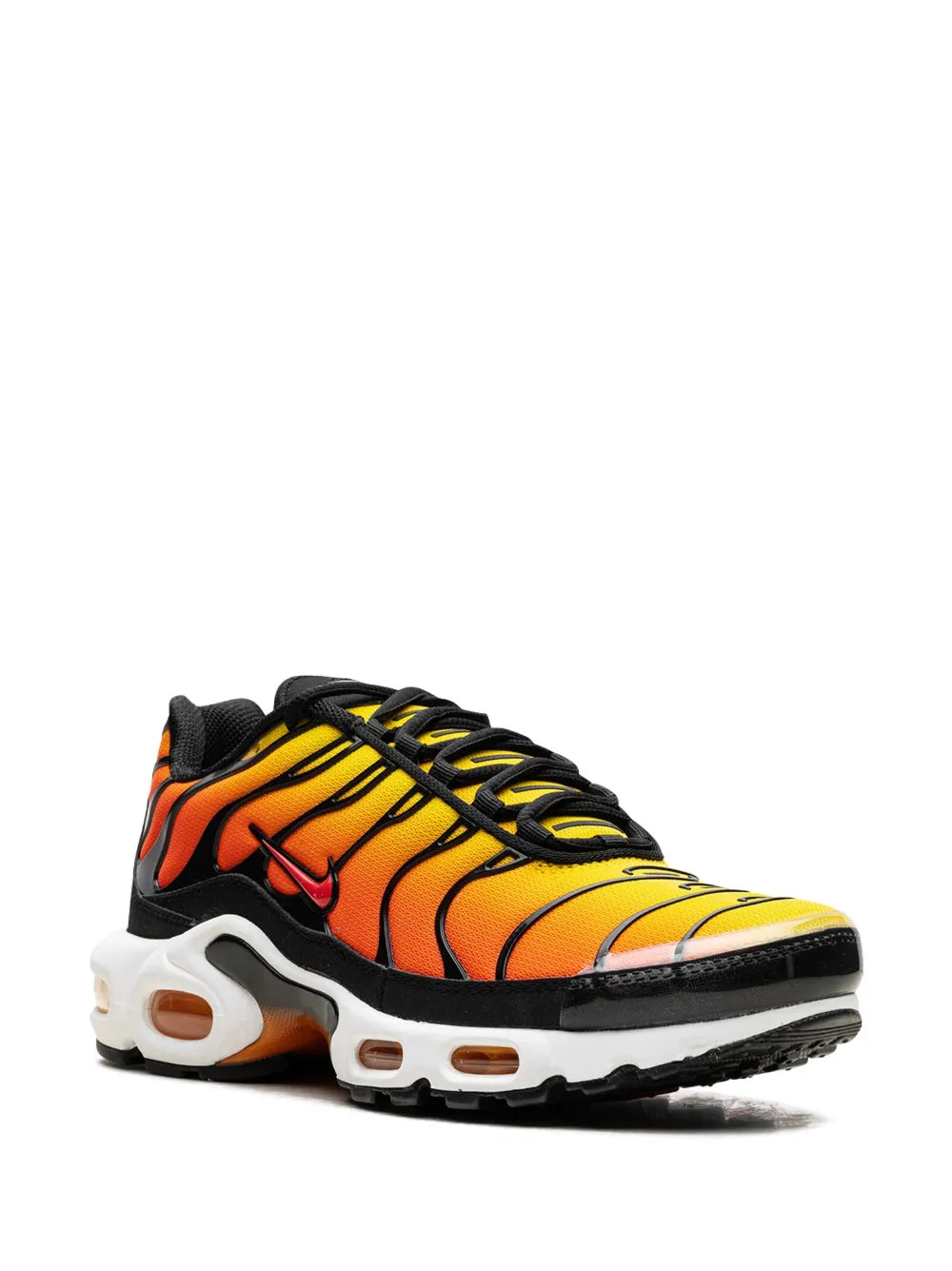TN Tiger