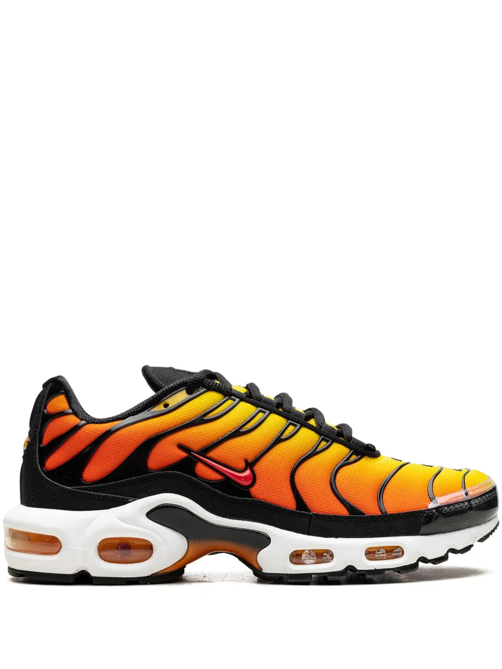 TN Tiger