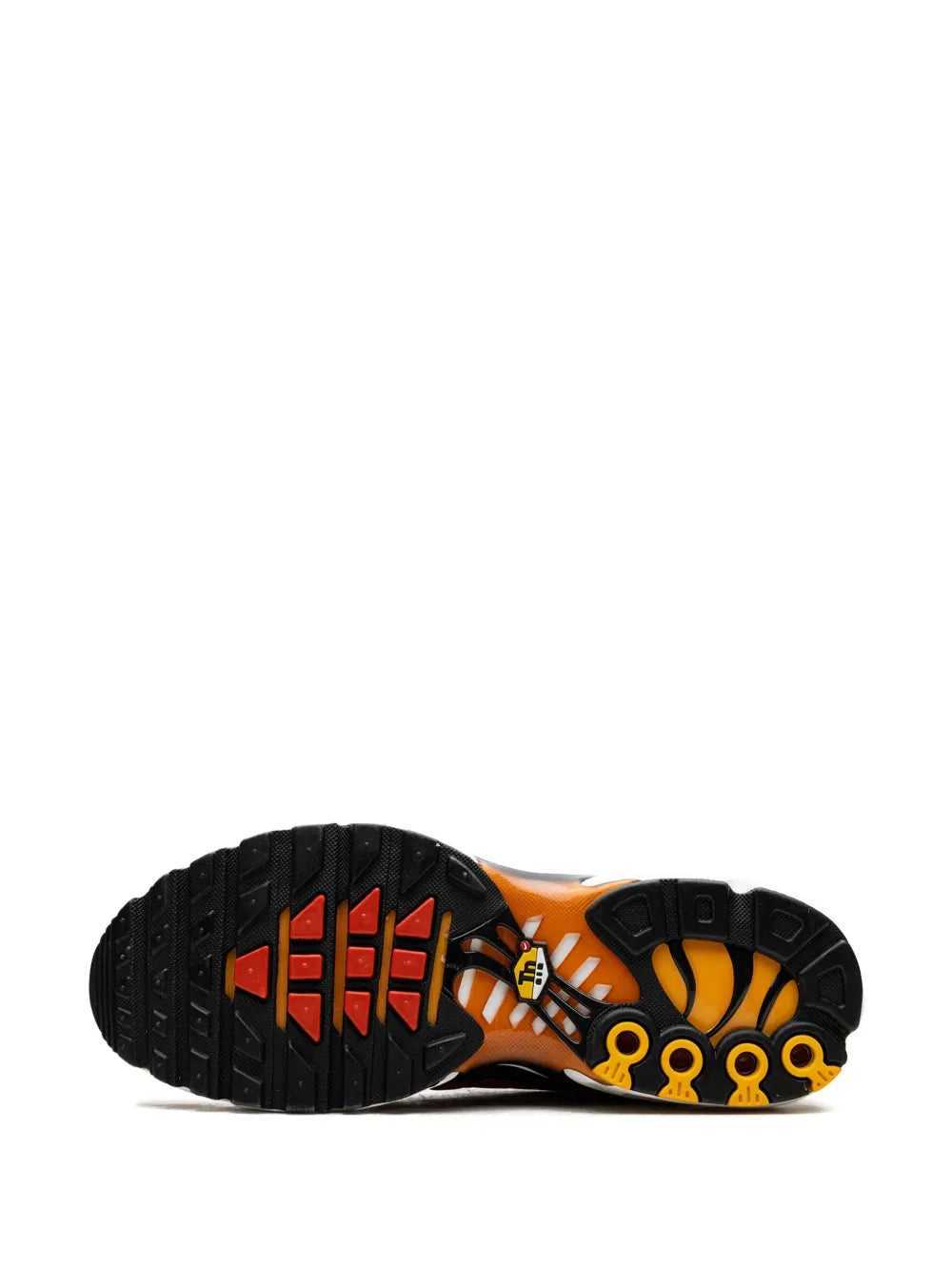 TN Tiger